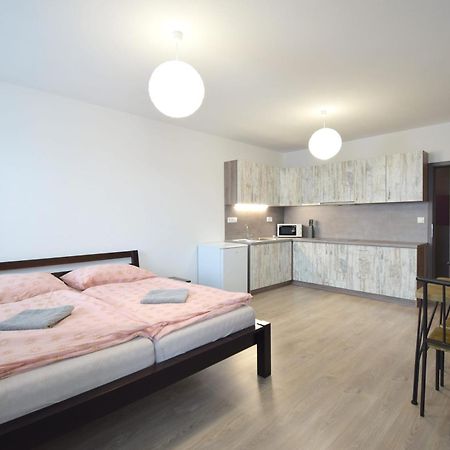 Apartman Zlatovska 22B Trenčín 外观 照片